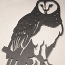 Barn Owl