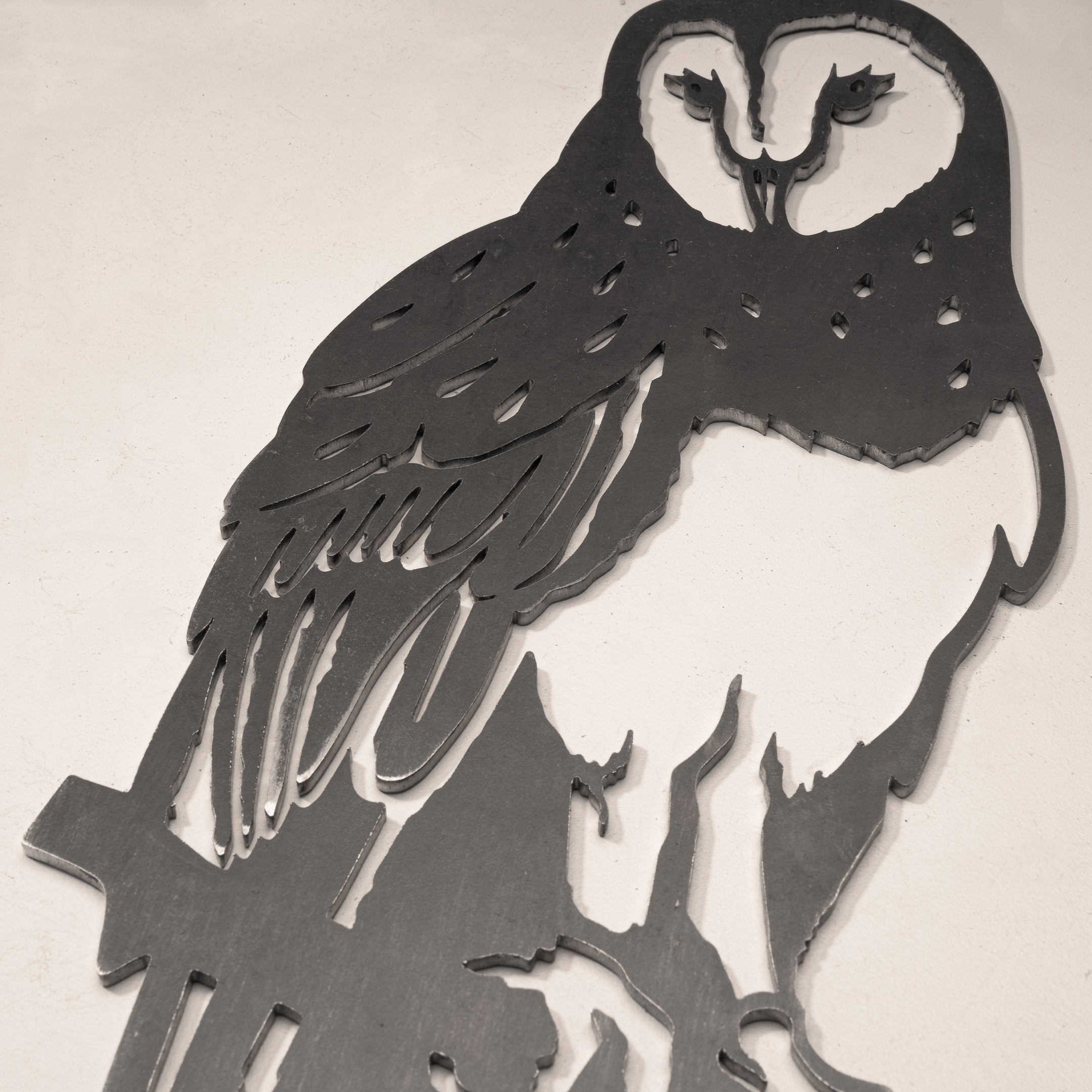 Barn Owl