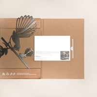 Fantail (Pīwakawaka ) and Baby