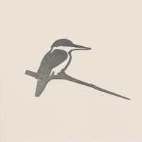 Kōtare / Kingfisher
