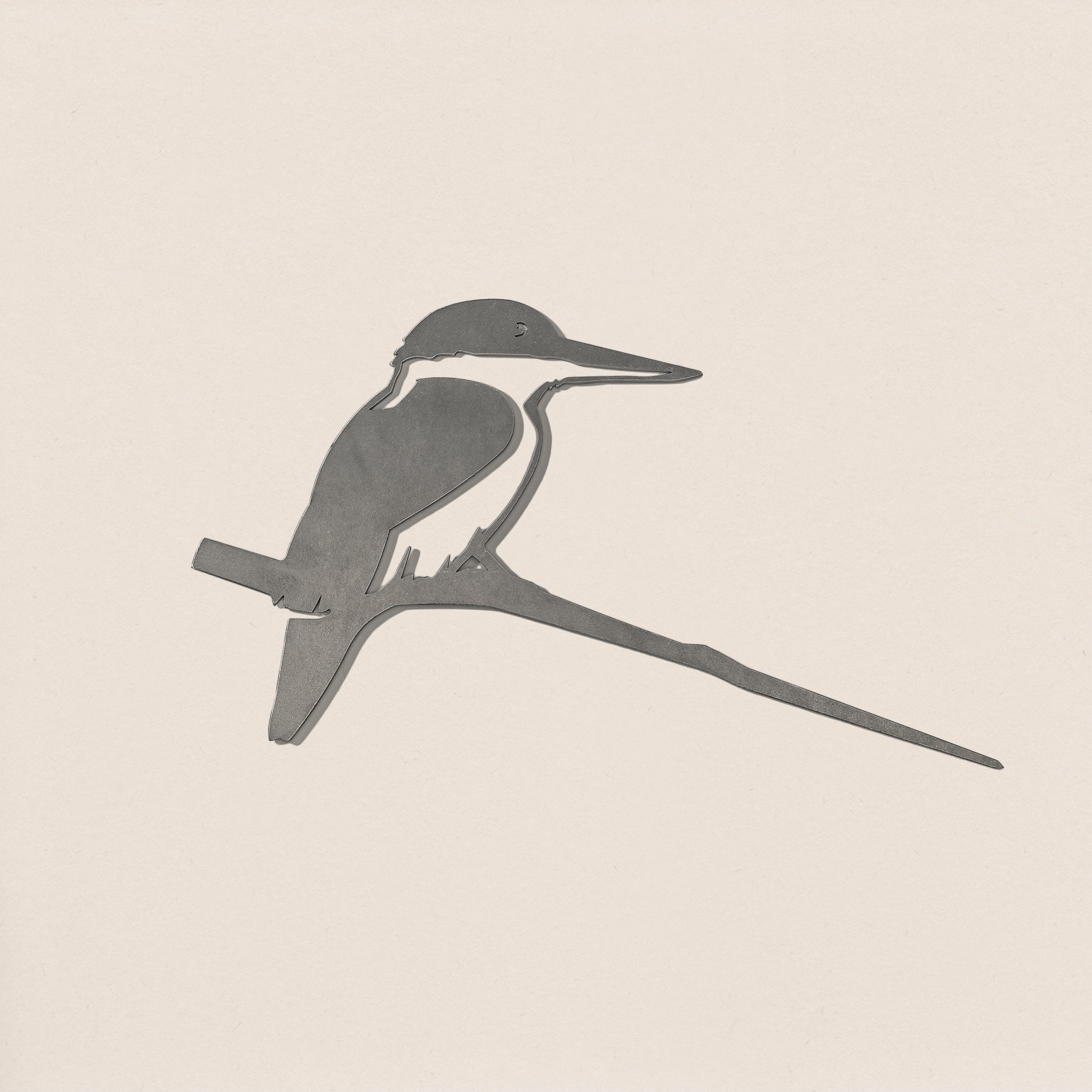 Kōtare / Kingfisher