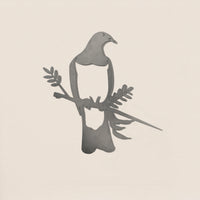 Kererū / Wood Pigeon