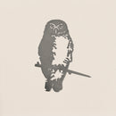 Ruru / Morepork