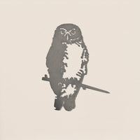 Ruru / Morepork
