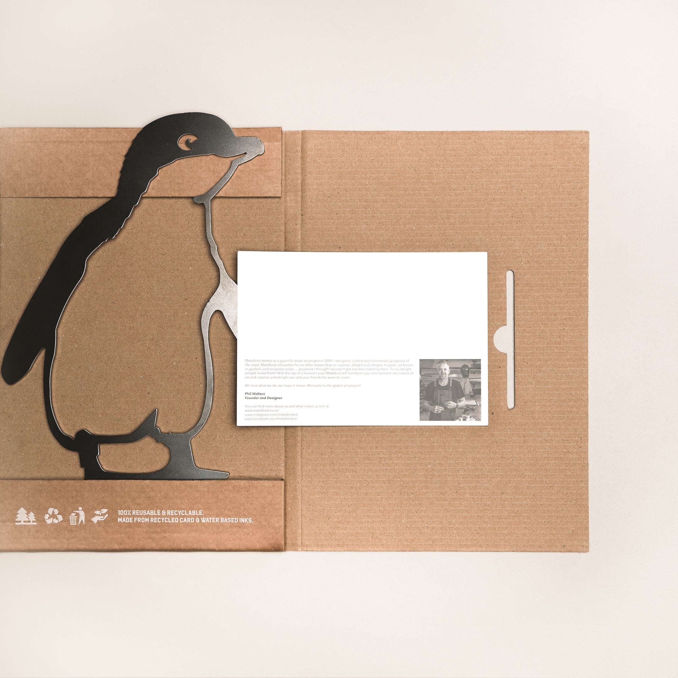 Kororā / Little Penguin
