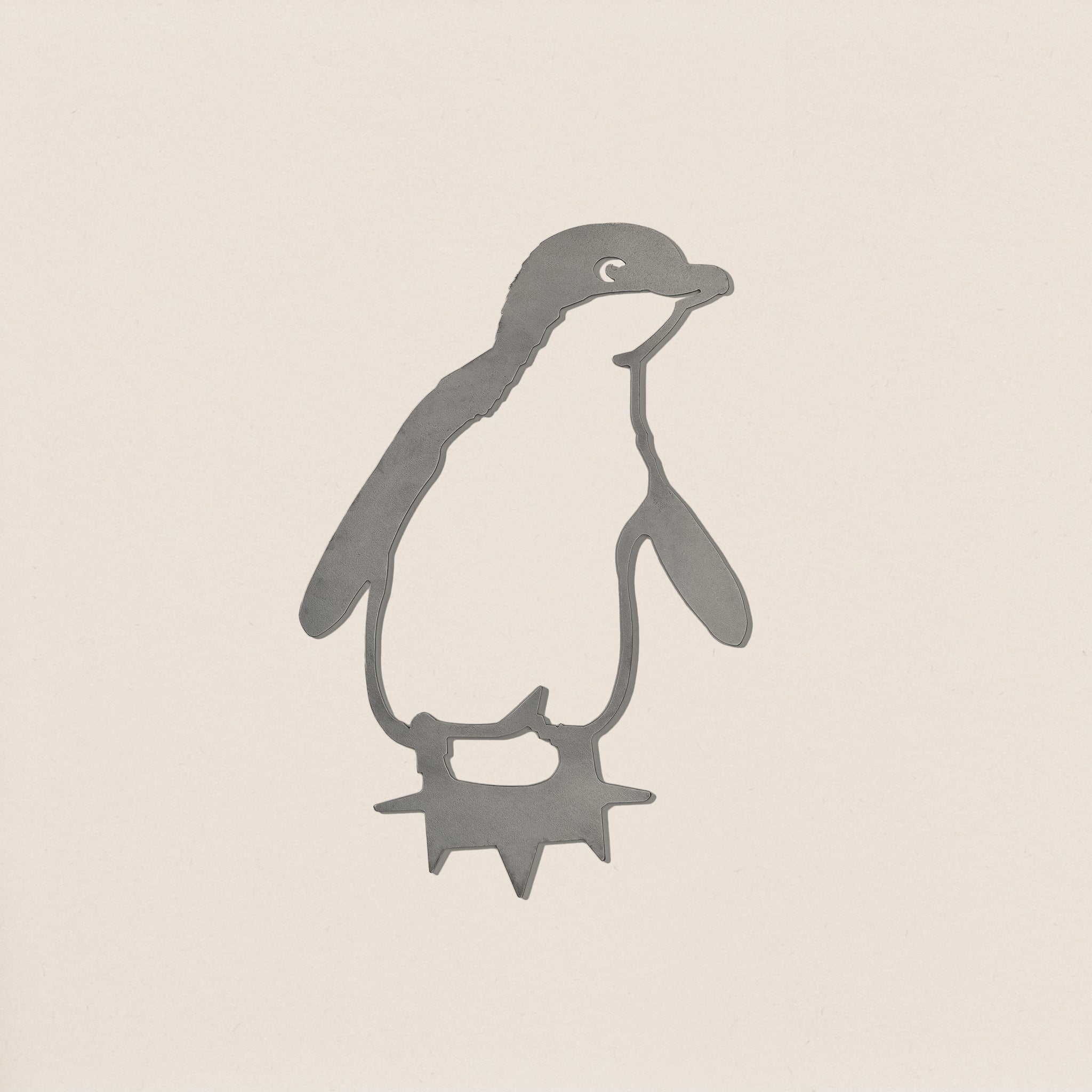Kororā / Little Penguin