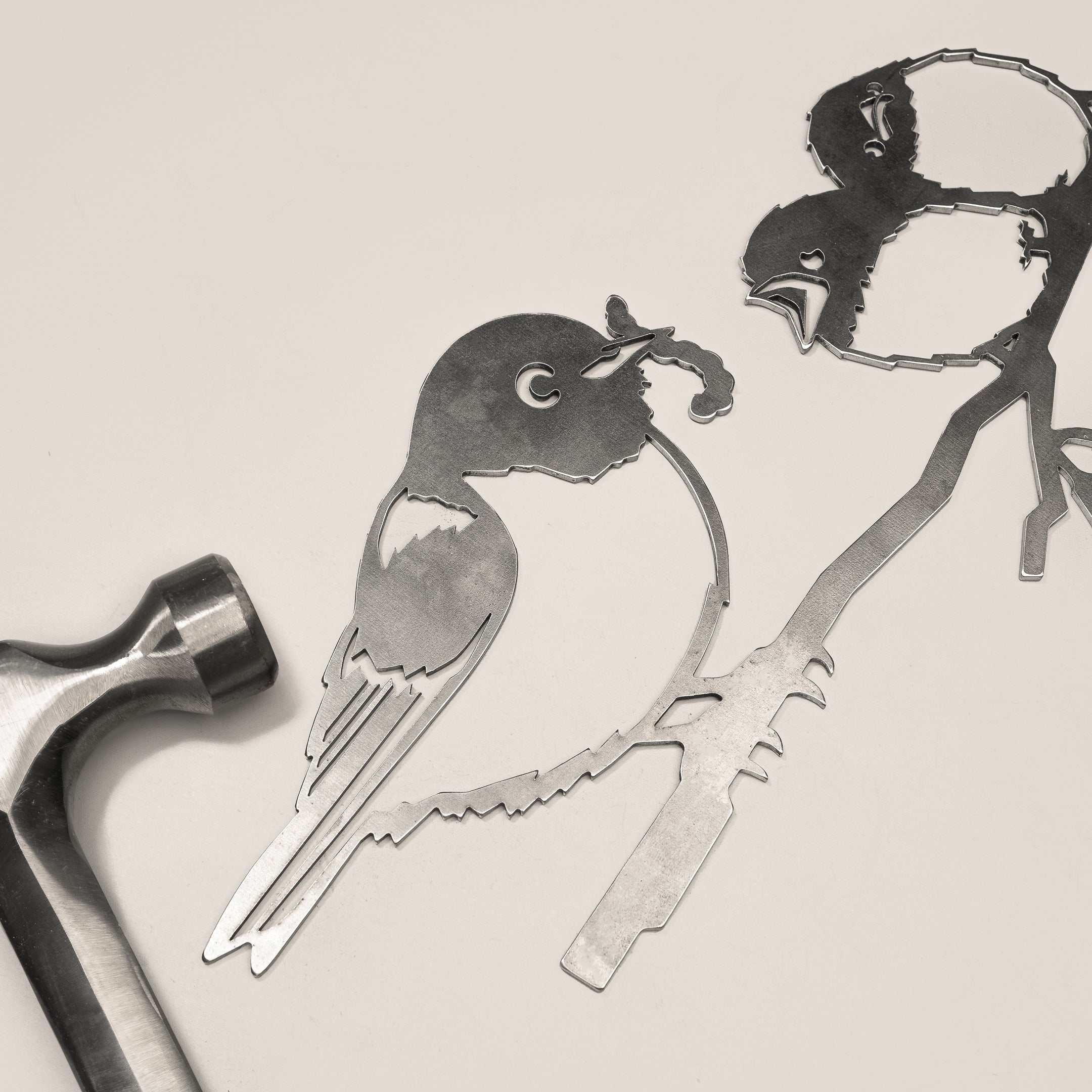 Waxeye / Tauhou & Chicks