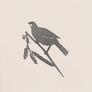 Kōkako