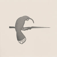 Huia