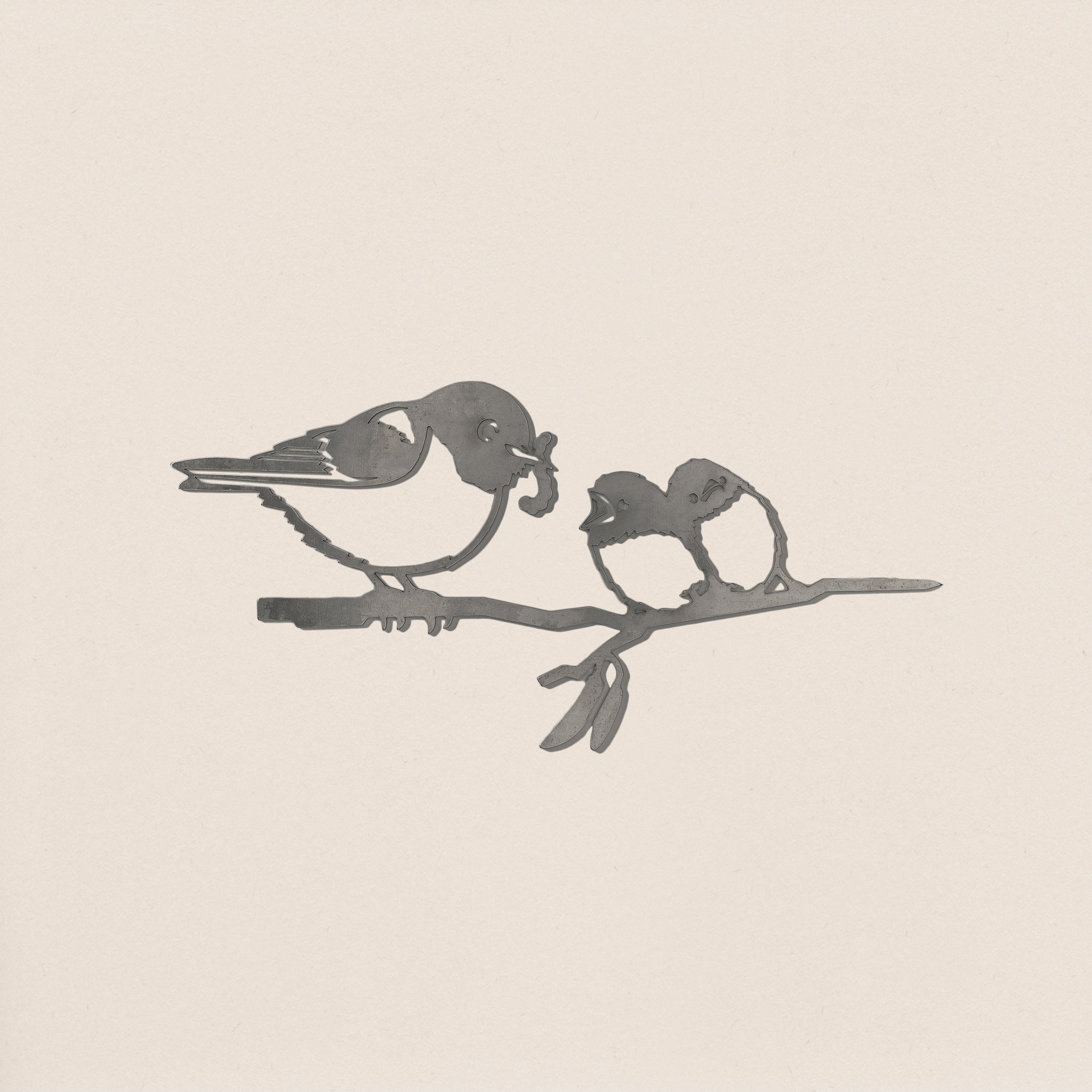 Waxeye / Tauhou & Chicks