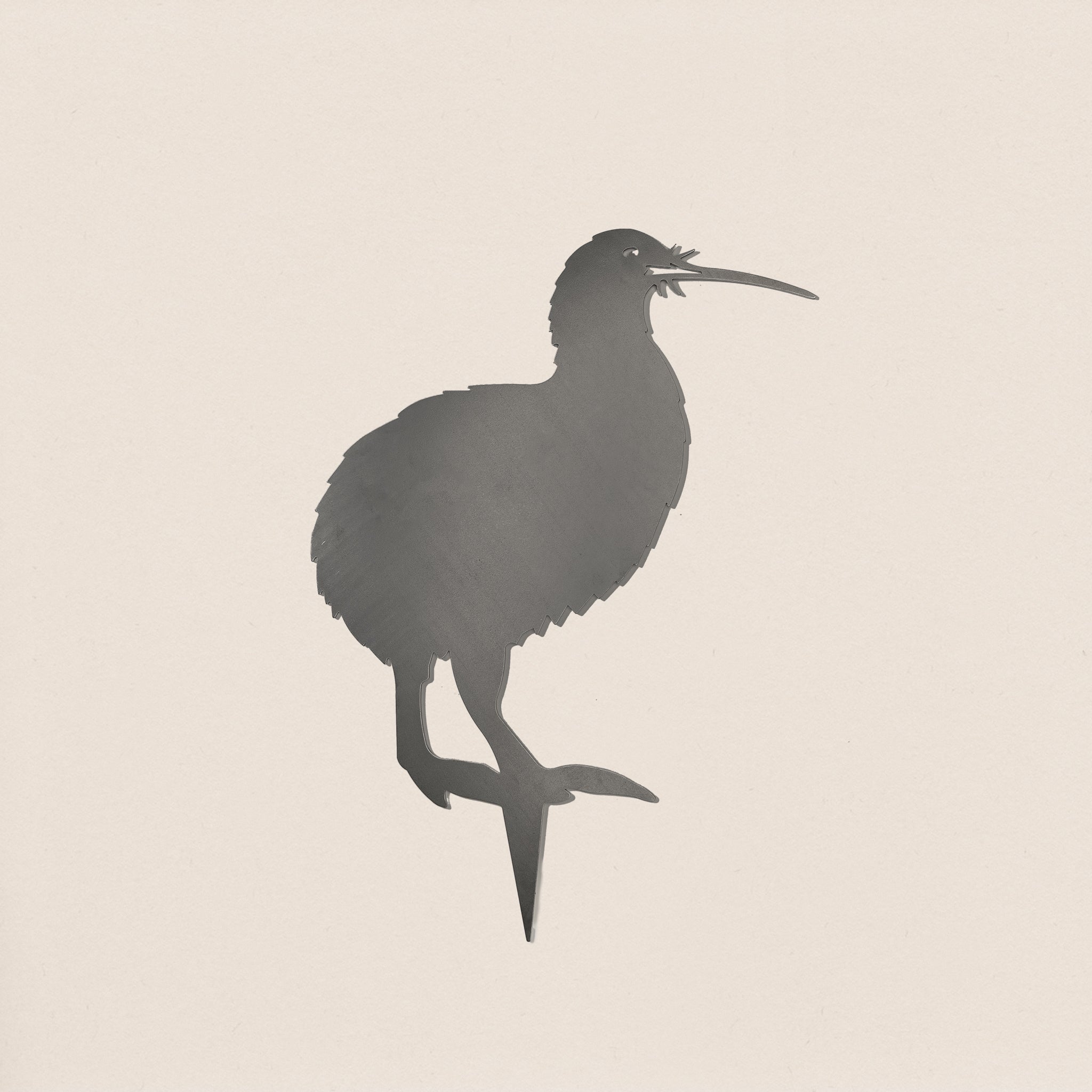Brown Kiwi