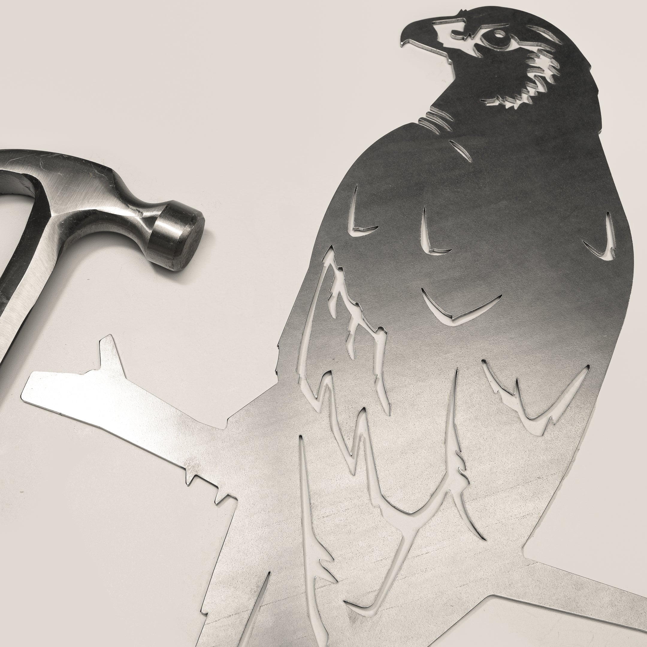 Kāhu