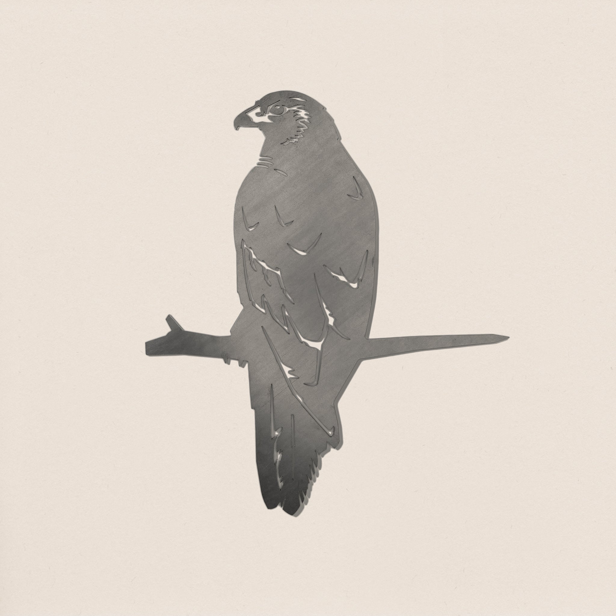 Kāhu