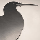 Brown Kiwi