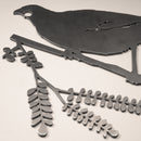 Kōkako