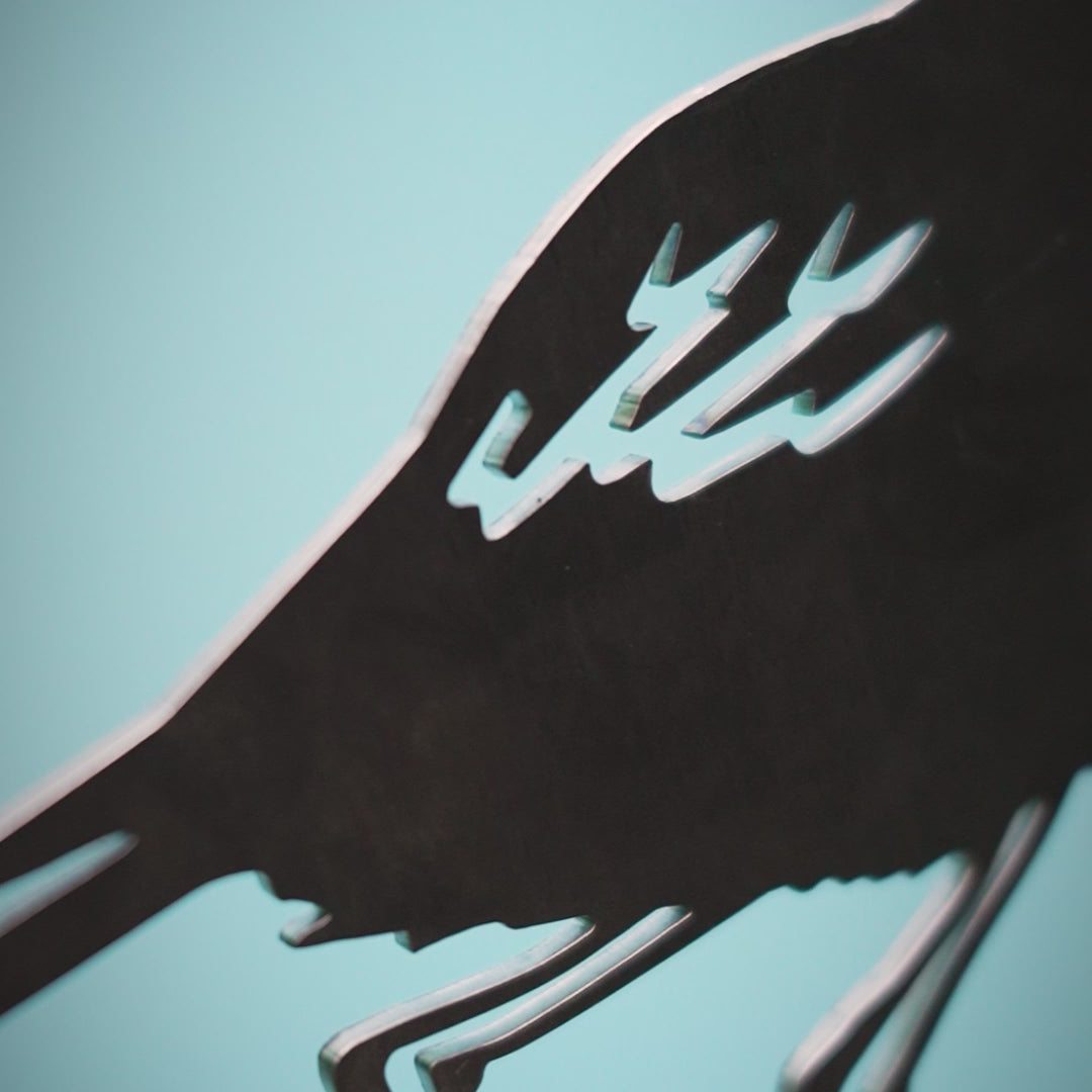 Kakī / Black Stilt
