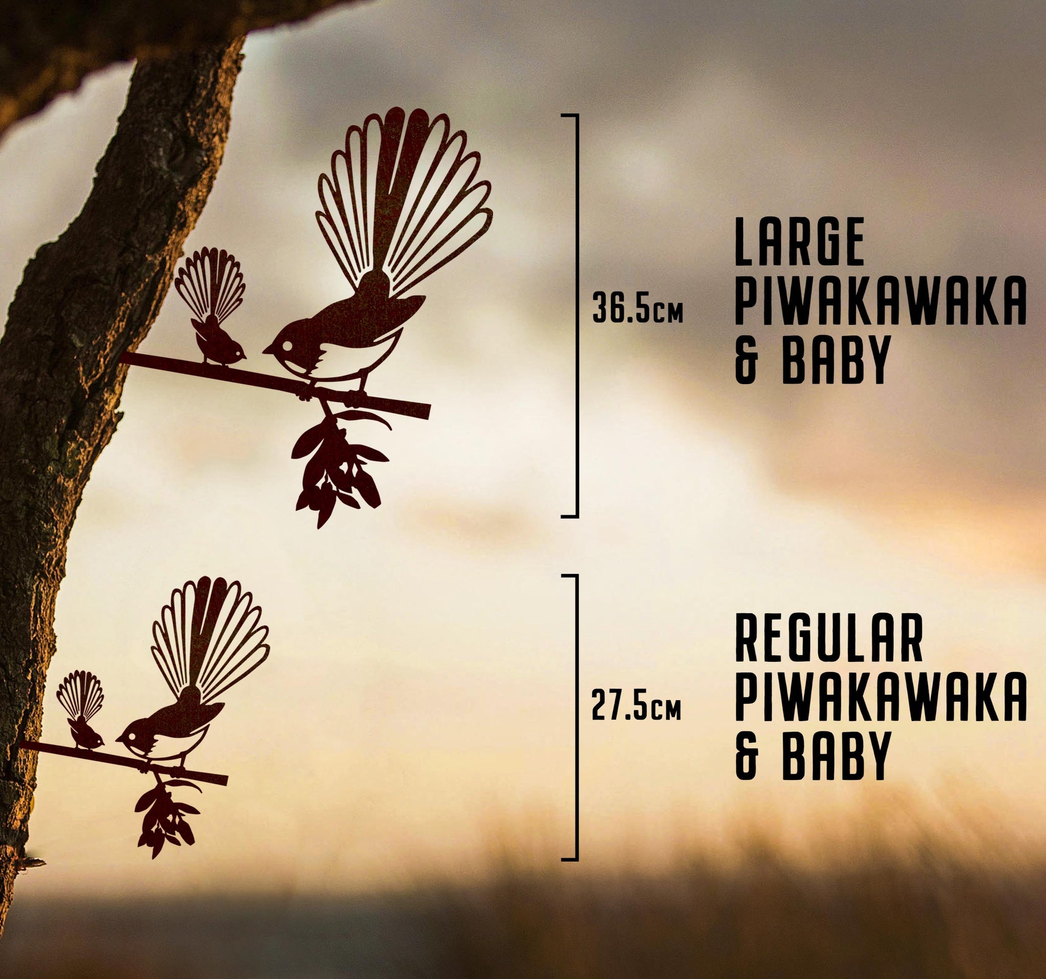 Pīwakawaka (Fantail) and baby - Large