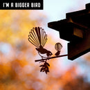Pīwakawaka (Fantail) and baby - Large