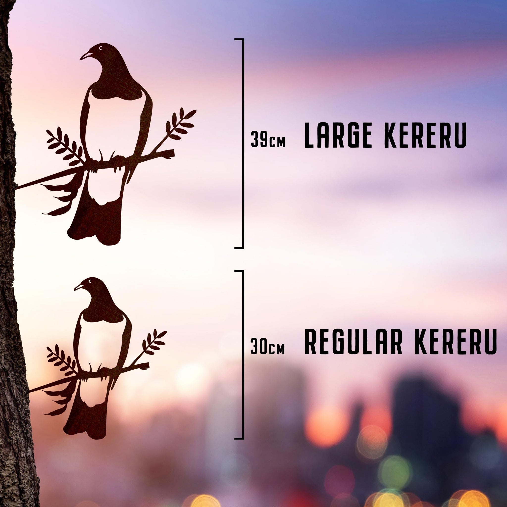 Kererū / Woodpigeon - Large