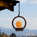 Hanging Bird Feeder