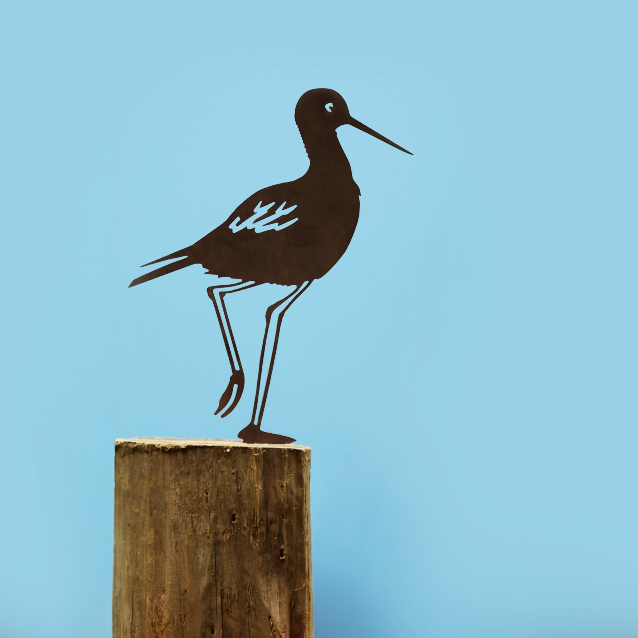 Kakī / Black Stilt
