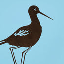 Kakī / Black Stilt