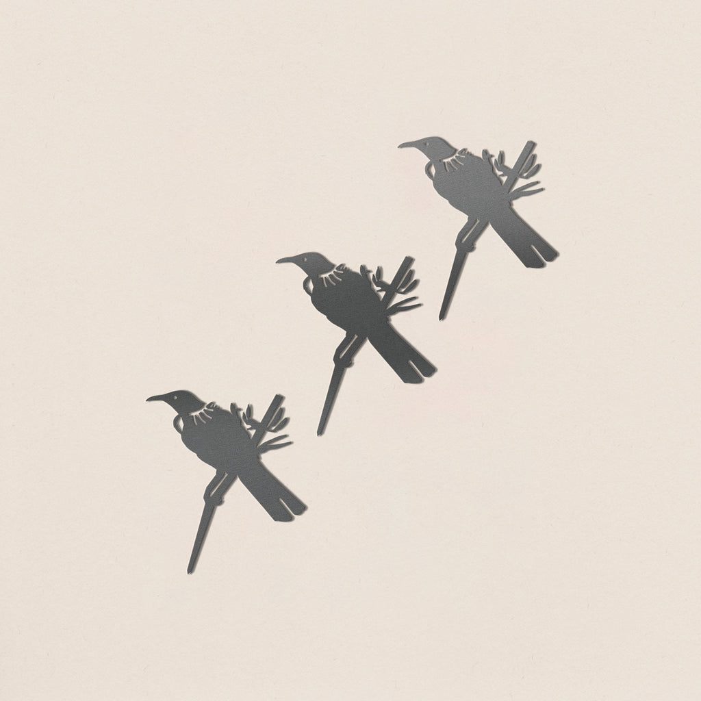 Baby Bird Bundle - Tūī Trio