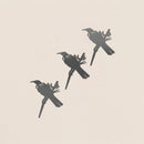 Baby Bird Bundle - Tūī Trio