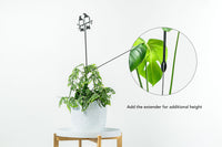 Kererū Pair Plant Stake - 100cm