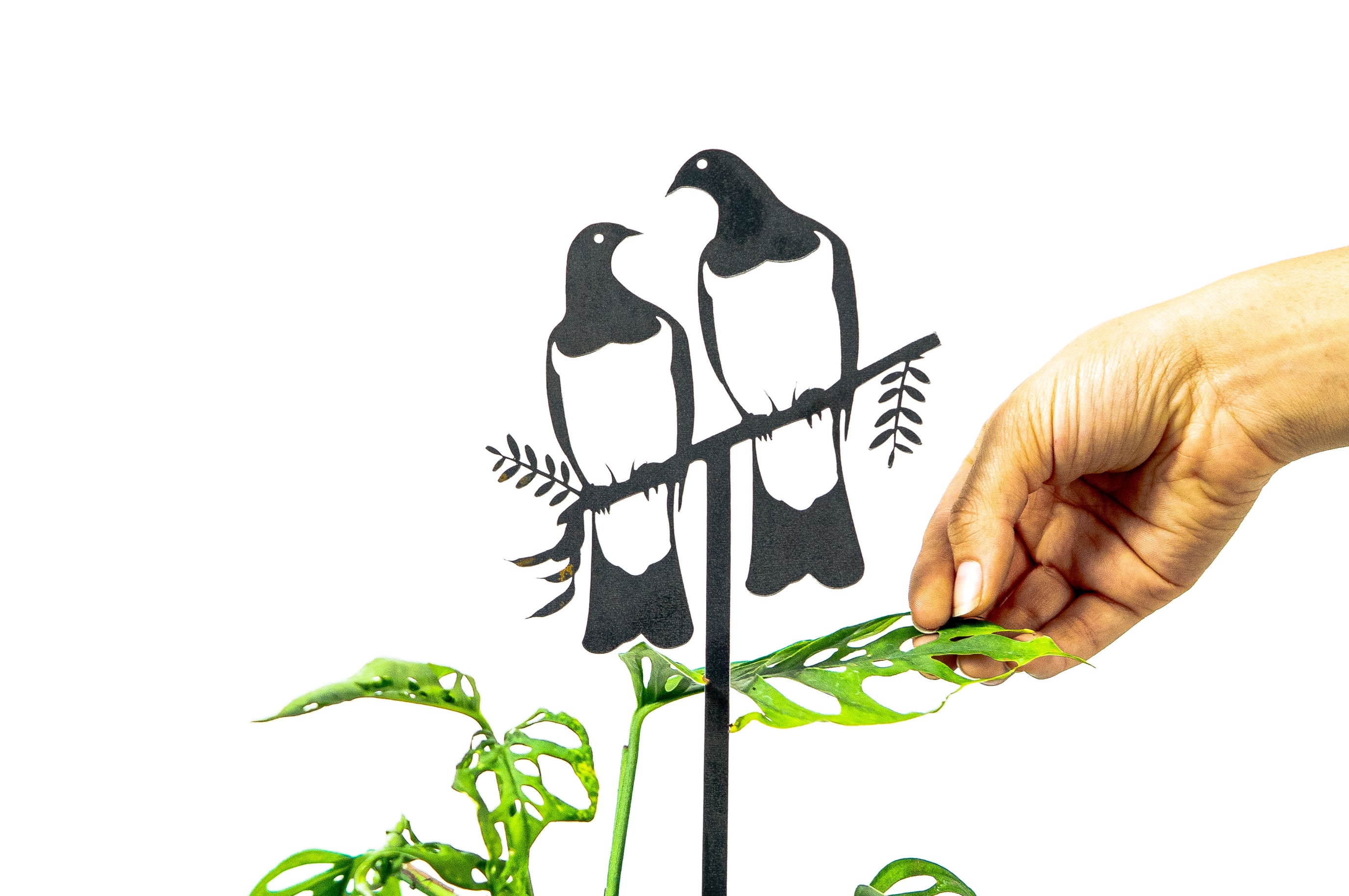 Kererū Pair Plant Stake - 100cm