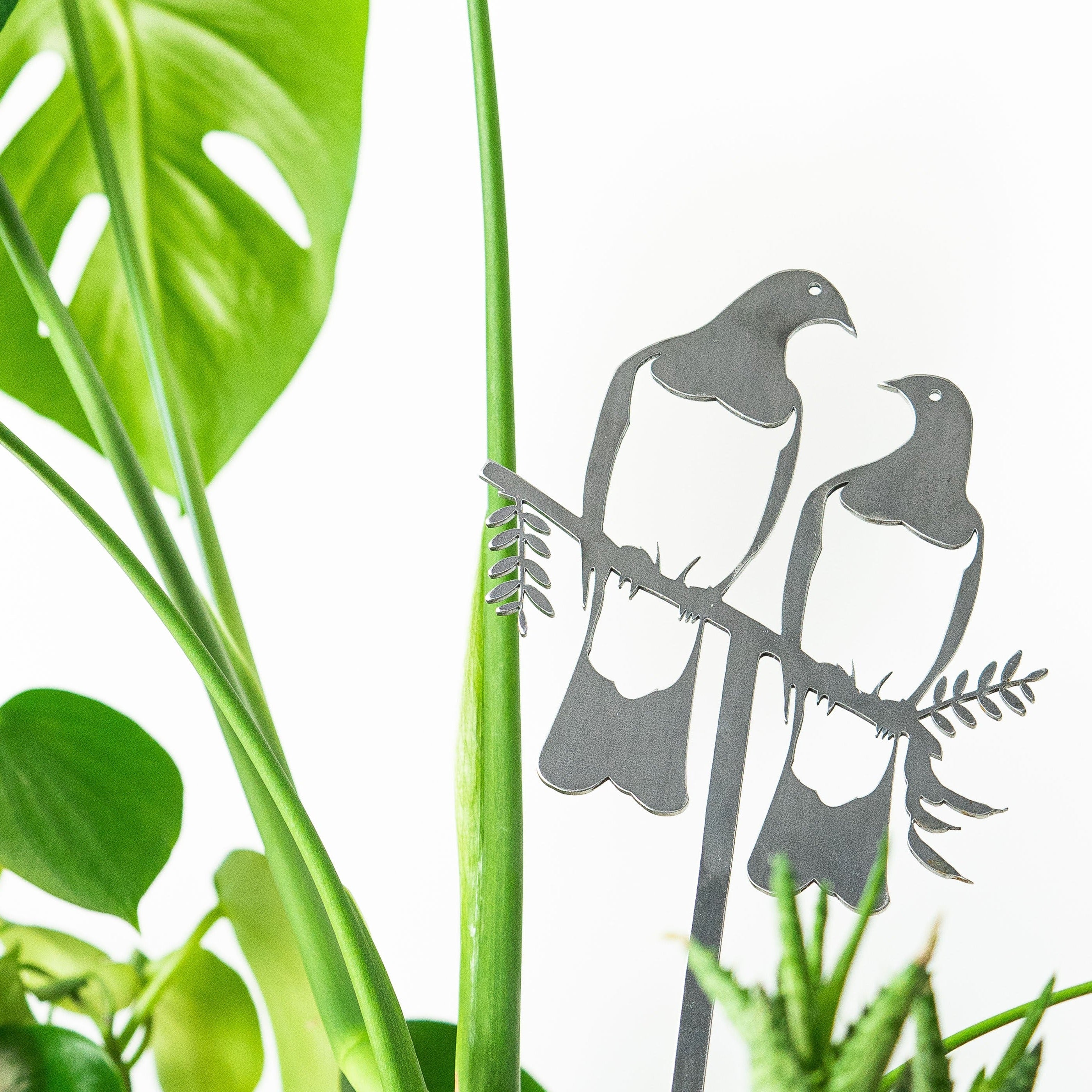 Kererū Pair Plant Stake - 100cm