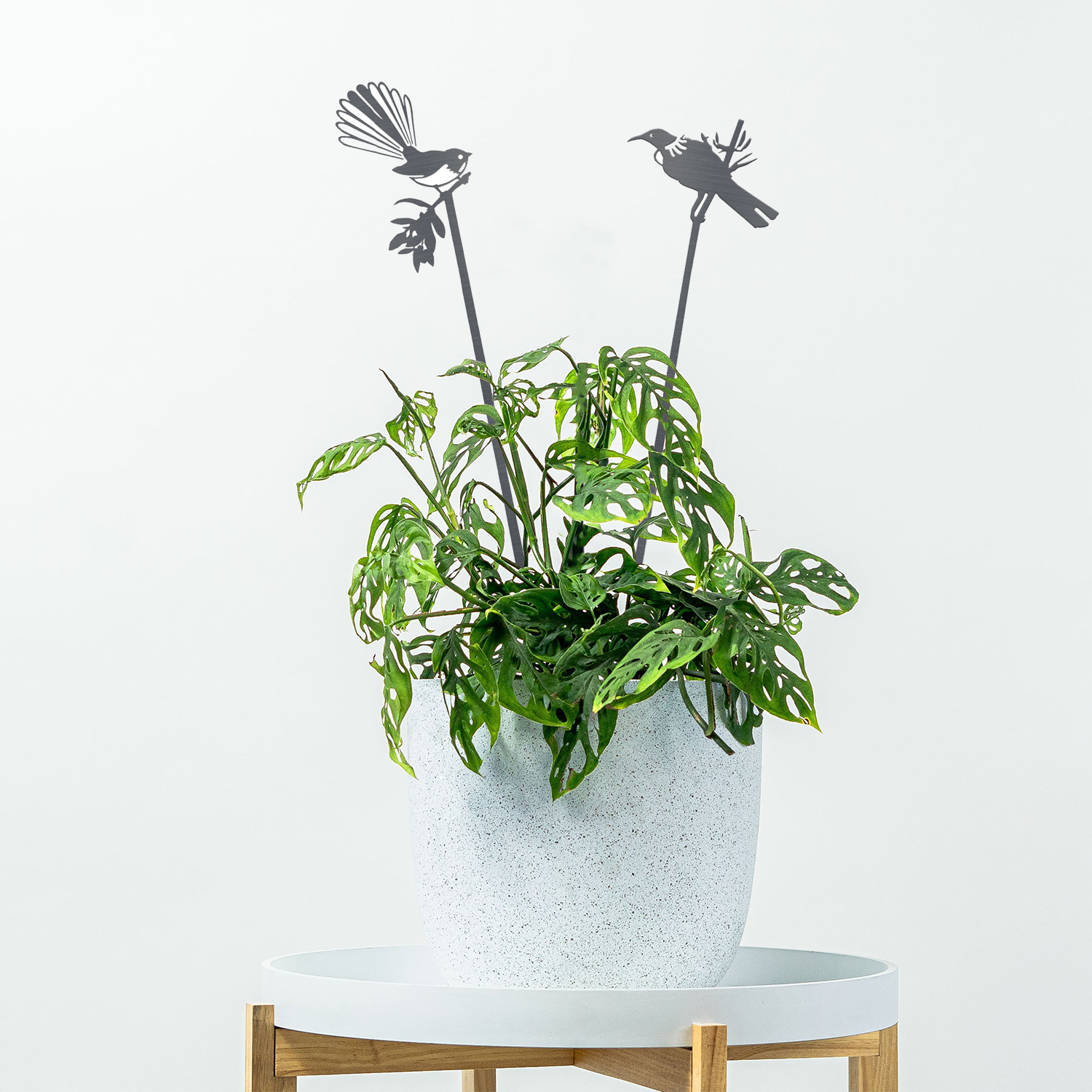 Pair Of Plant Stakes