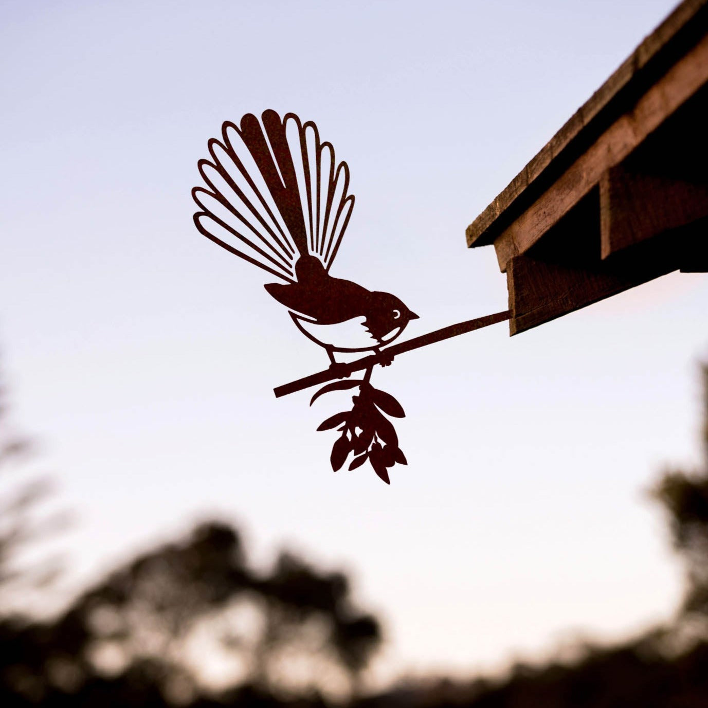 Fantail (Pīwakawaka)