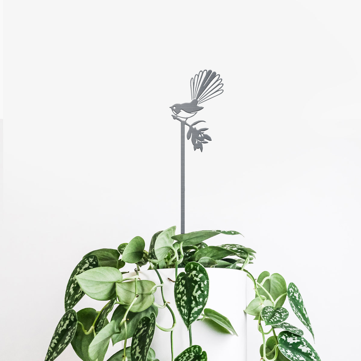 A potted plant with heart-shaped green leaves and white spots is topped with the Metalbird New Zealand Pīwakawaka Plant Stake (70cm), featuring a bird design, against a plain white background.