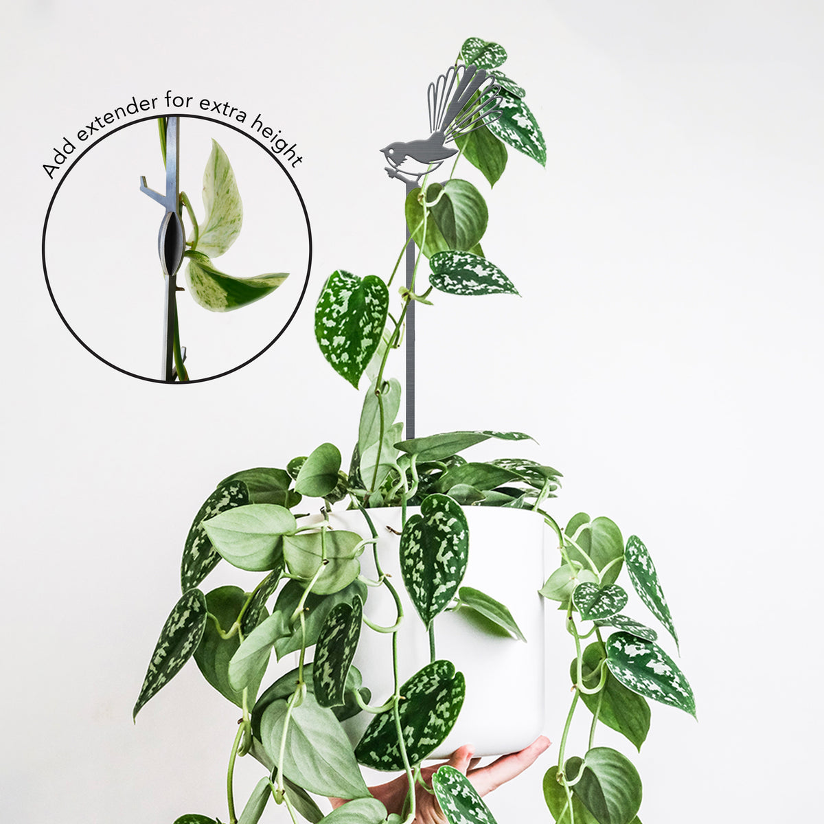 The Metalbird New Zealand Pīwakawaka Plant Stake (70cm) features a bird silhouette topper and supports trailing plants in style. An inset highlights the easy-to-use height extender: "Add extender for extra height." A premium gift idea.