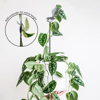 Pīwakawaka Plant Stake - 70cm
