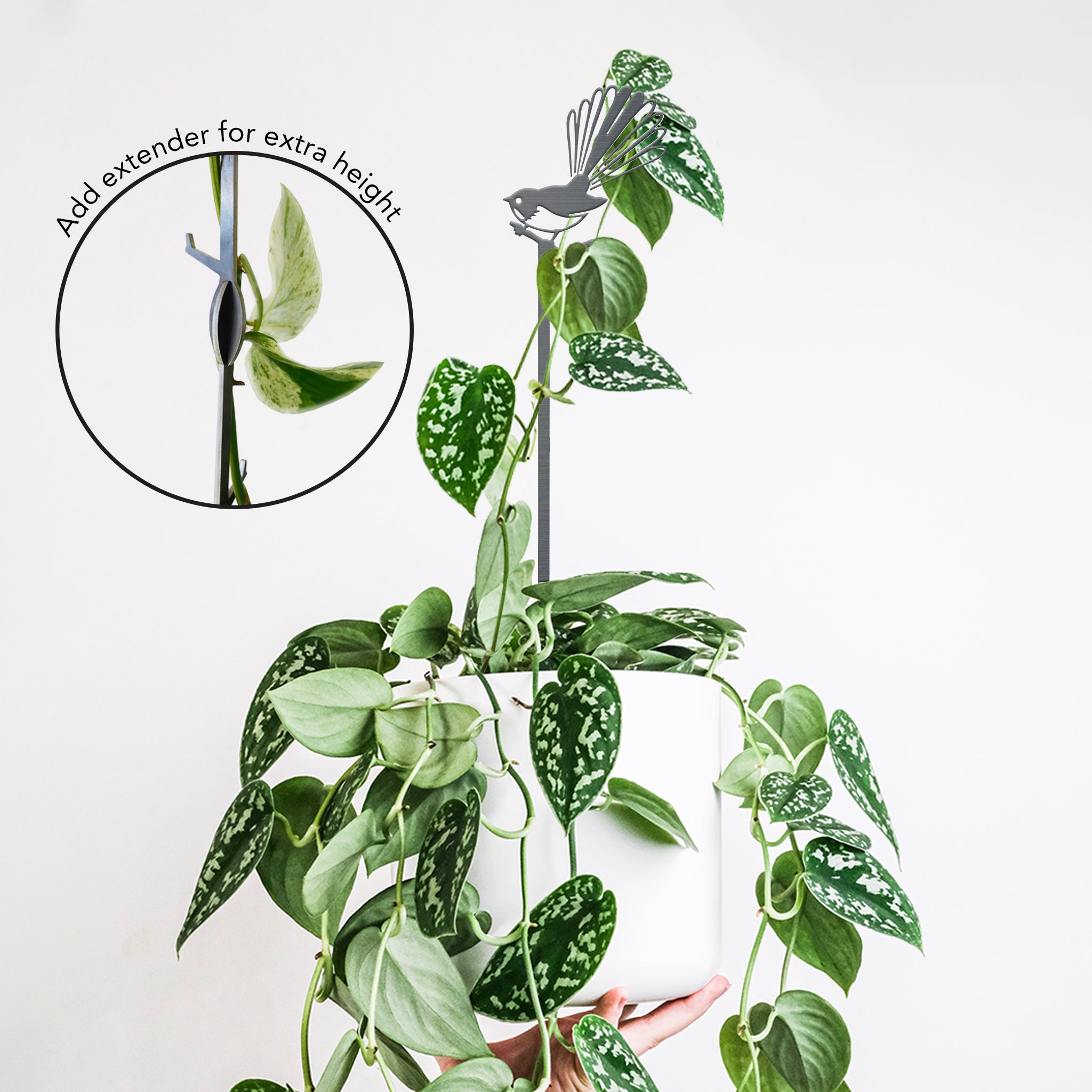 Pīwakawaka Plant Stake - 70cm