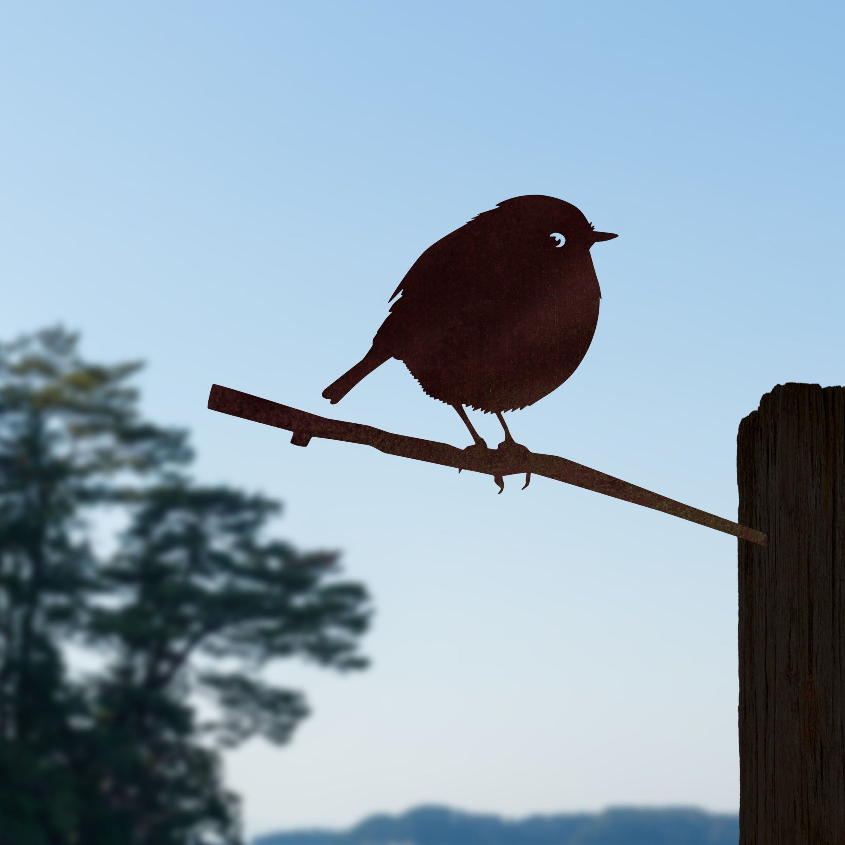 Black Robin