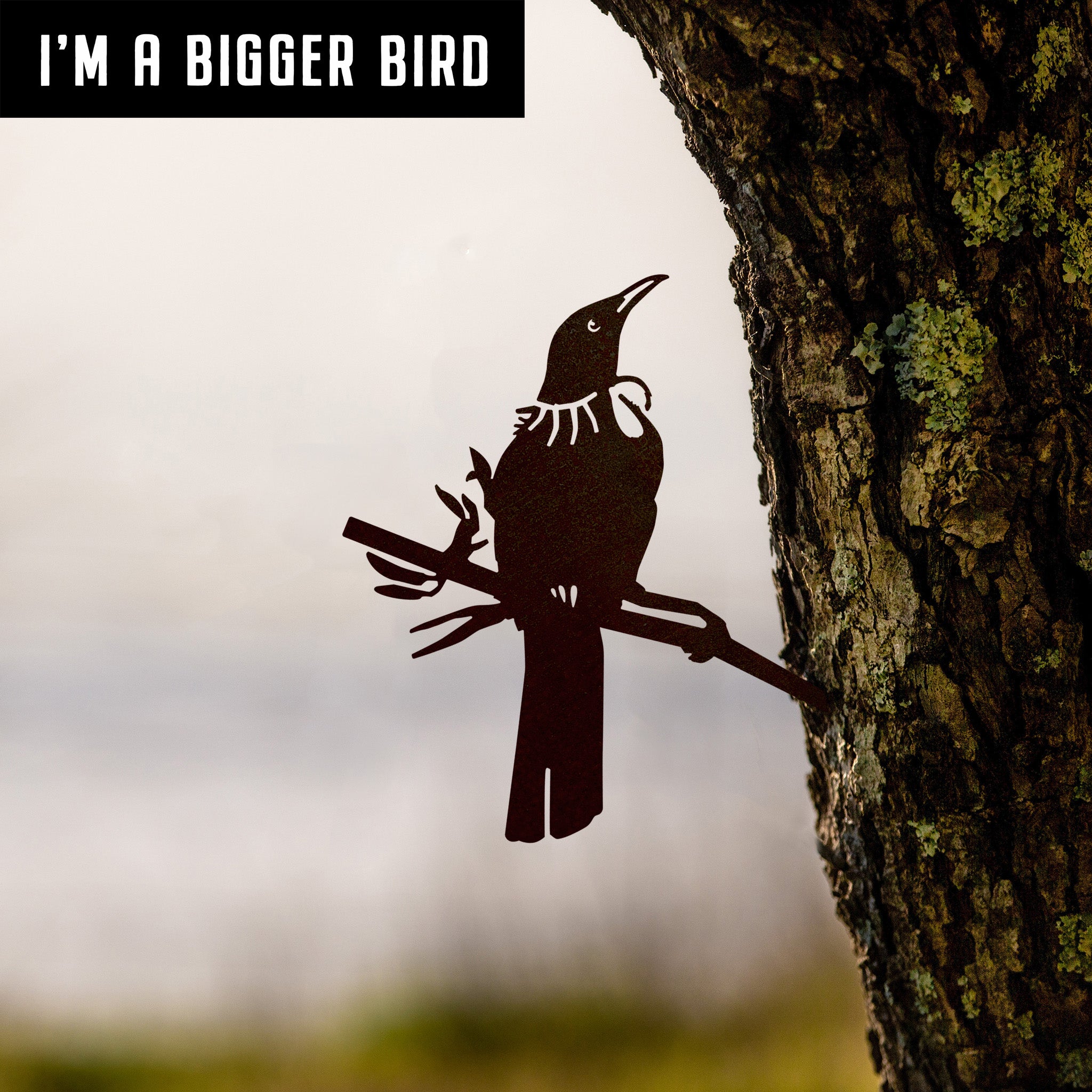 Tūī - Large
