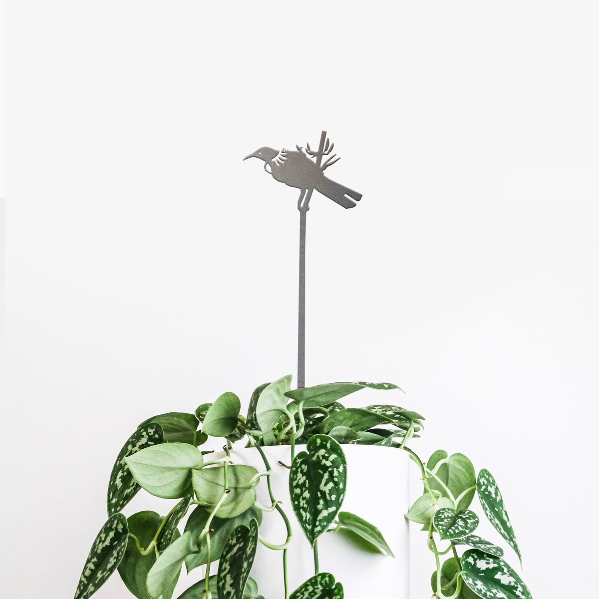 A leafy green plant in a white pot is topped with the Metalbird New Zealand Tūī Plant Stake (70cm), featuring a premium corten steel Tūī bird silhouette on a thin metal stake, set against a plain white background.