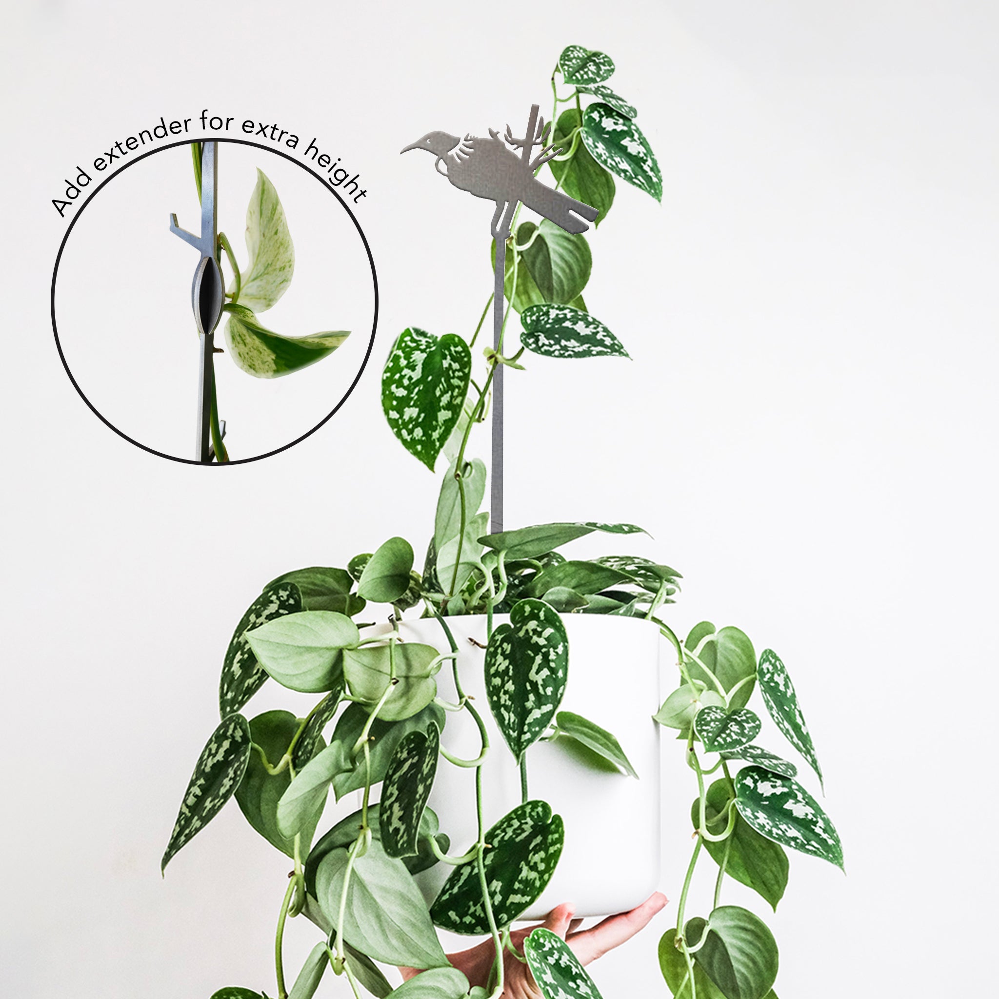 Tūī Plant Stake - 70cm