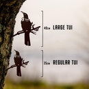 Tūī - Large