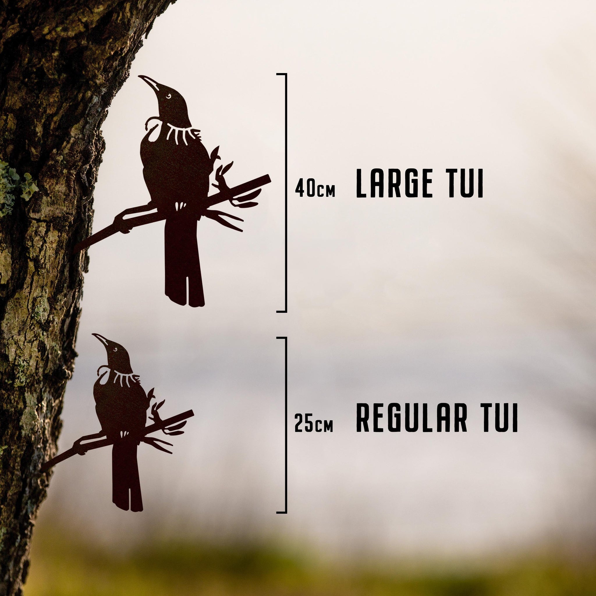 Tūī - Large